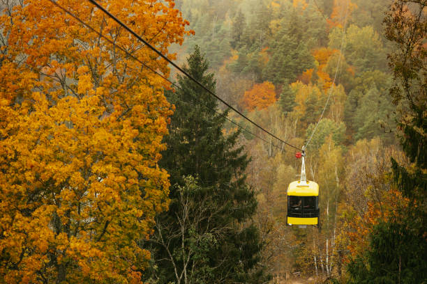 istock Cablecar Sigulda and Thick colourful forest 1182557068