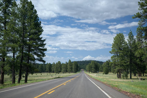 istock Arizina Road Trip - I 1182558008
