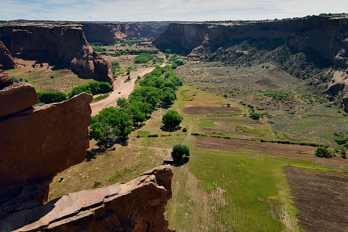 All terrain vehicle make their way up the dry Chinle creek bed on the floor of canyon de chilly pass the cultivated fields on the navajos who live in the canyon.