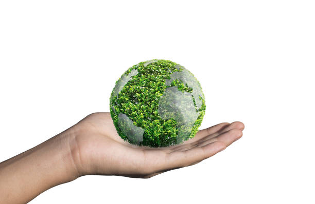 istock round soil ground cross section with earth land. 1182559856