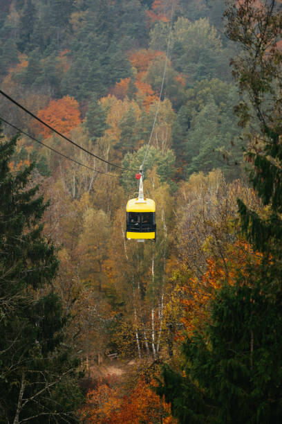 istock Cablecar Sigulda and Thick colourful forest 1182560950
