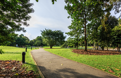 Singapore-16 JUN 2018:Singapore botanic garden Walking trails day time view