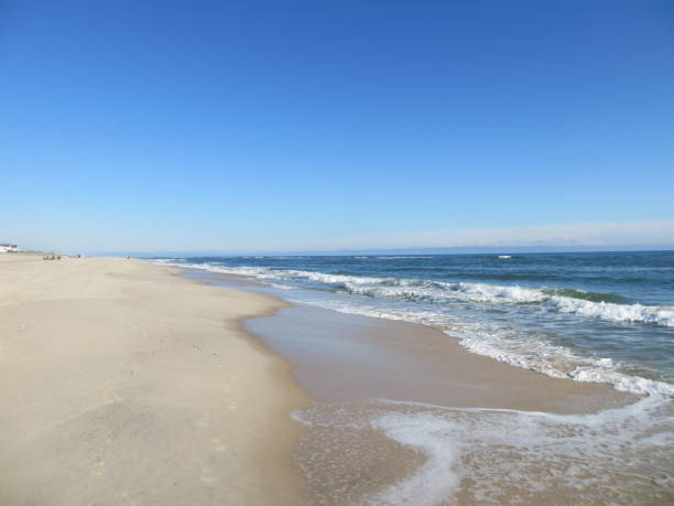 庫珀海灘海灘上的海浪 - 美國東部 個照片及圖片檔