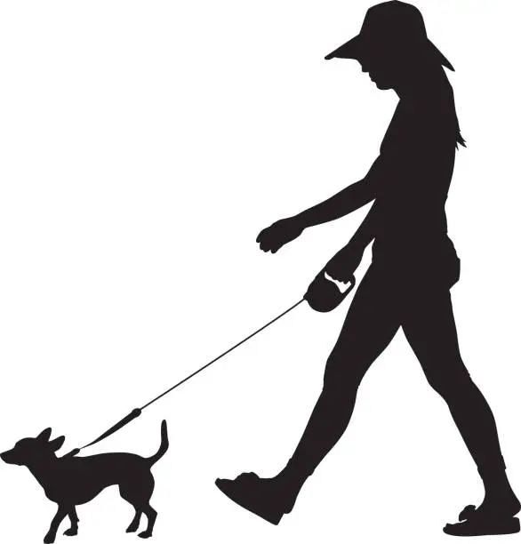 Vector illustration of Girl Walking Little Dog Silhouette