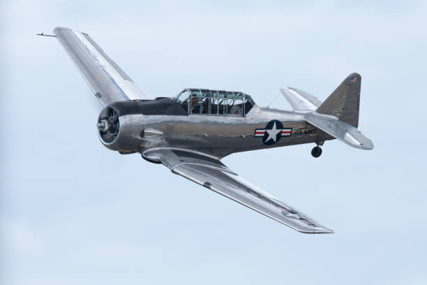 istock WWII American trainer plane  in flight 1182568322