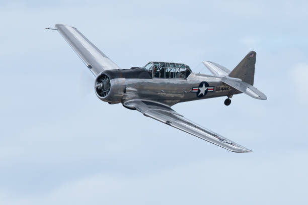 istock WWII American trainer plane  in flight 1182568449