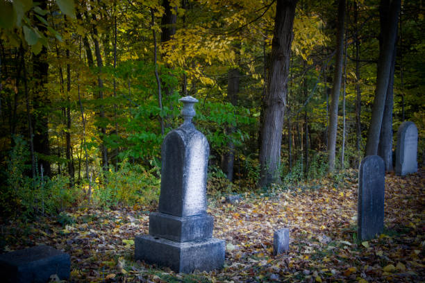 istock Spooky Cemetery- Gravestones next to Forest 1182568973