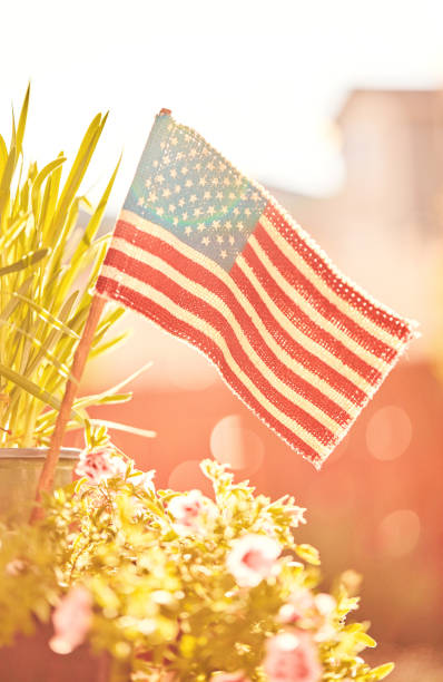 istock Backlit American flag in nature with copy space 1182569487