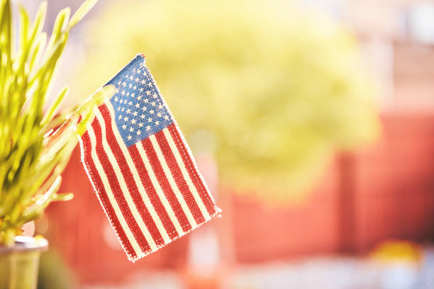 istock Backlit American flag in nature with copy space 1182569490