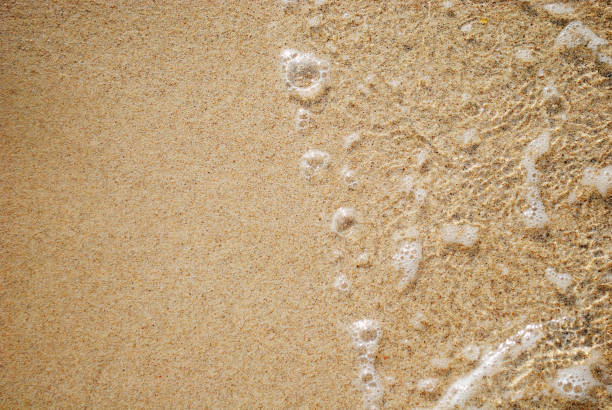 istock Beach sand at the sunny day 1182571648