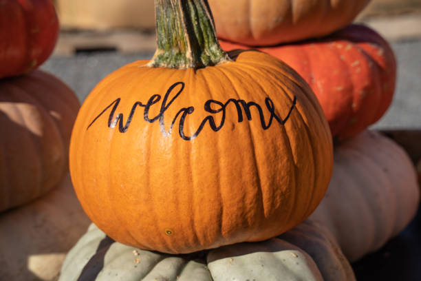 istock Welcome pumpkin at Orchard 1182571706
