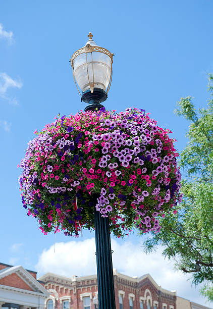 istock Street Lantern with Hanging Basket 118257218