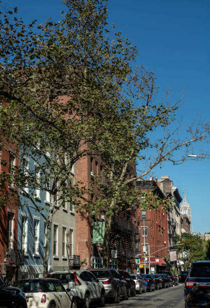 istock Sullivan Street North 1182573789