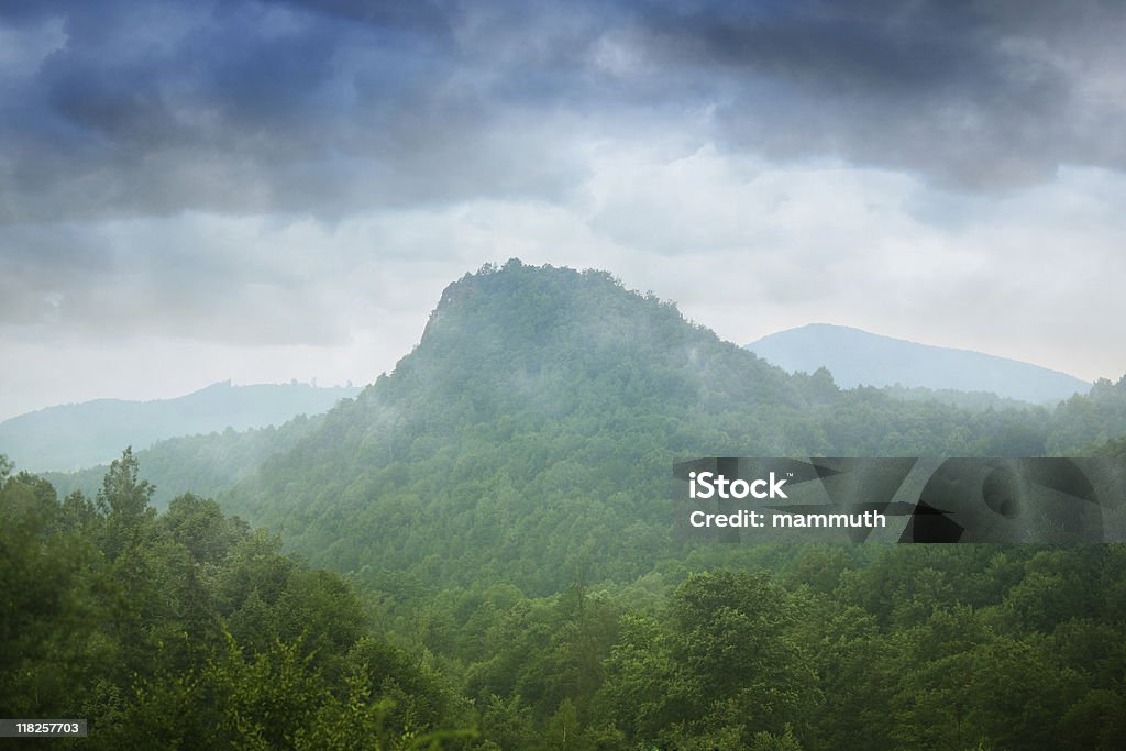 Cubiertos el pico de la montaña bosque - Foto de stock de Aire libre libre de derechos