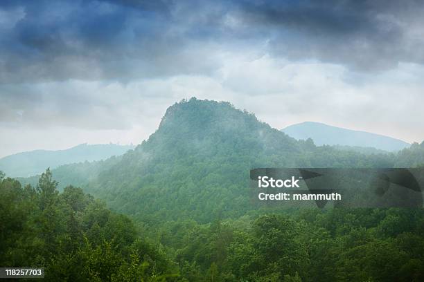 Photo libre de droit de Forêt De Sommet De La Montagne banque d'images et plus d'images libres de droit de Affluence - Affluence, Arbre, Brouillard