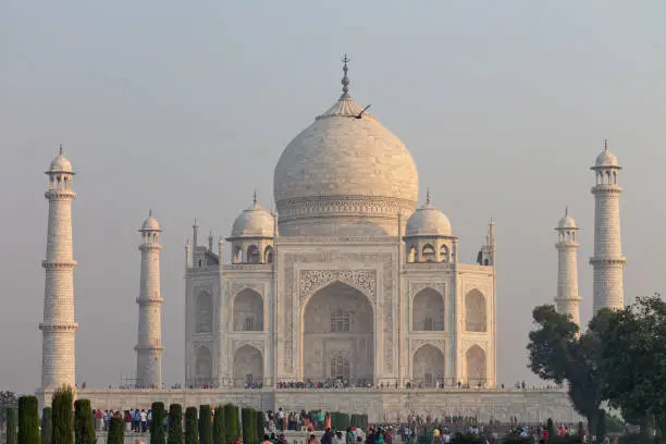 Photo of The great Taj Mahal just after sunrise