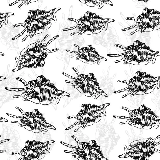 Vector illustration of seamless pattern Lambis spider conch Chicoreus aculeatus, large sea snail Unique shells, molluscs Gastropoda. Sketch black contour on white background. Vector