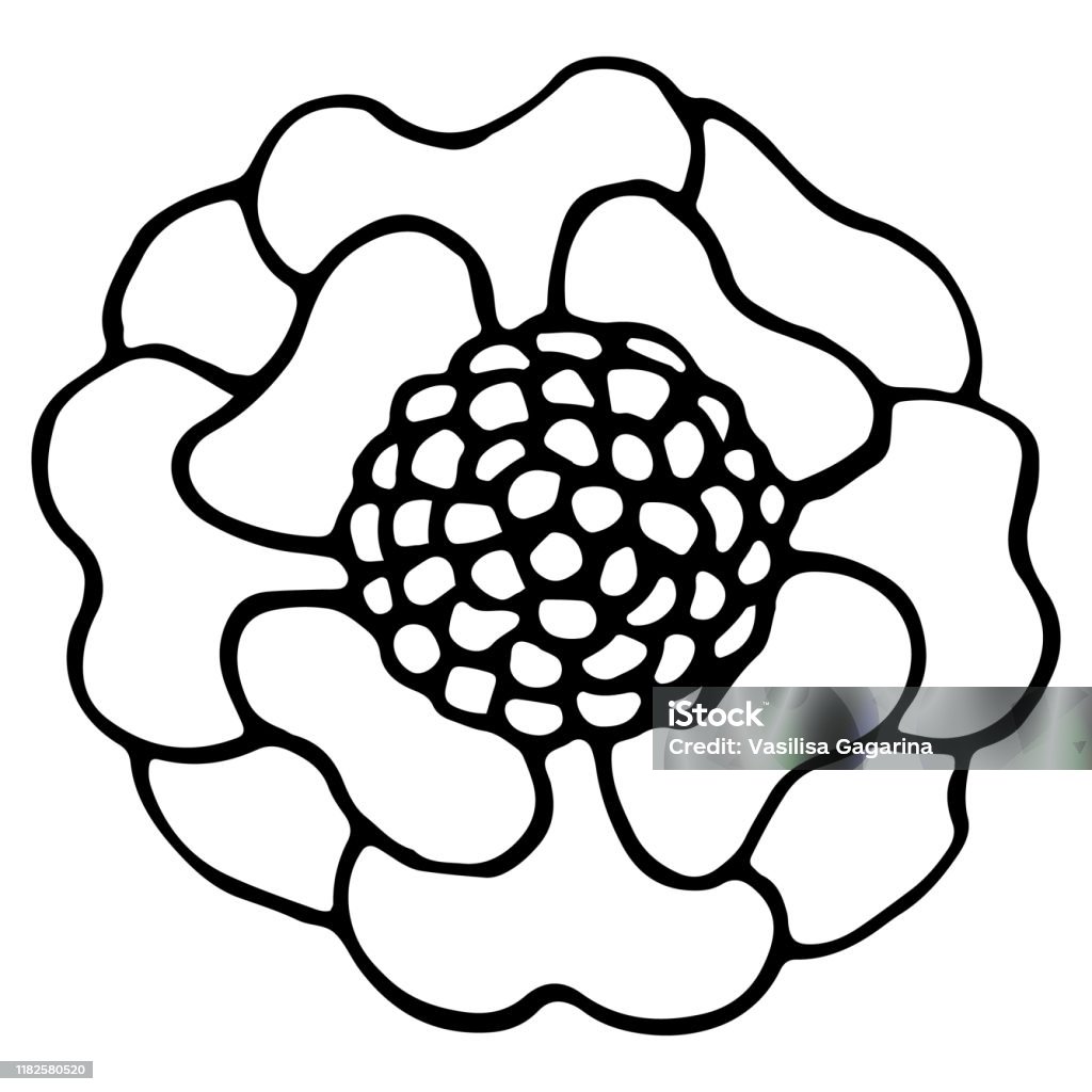 Ilustración de Flores Ornamentales En Estilo Doodle Ilustraciones Dibujadas A Mano Sobre Fondo Blanco Siluetas Negras Elegantes Elementos Florales Postales De Decoración Revistas Sitio Libros Libros Para Colorear y más Vectores Libres Ilustración de Flores Ornamentales En Estilo Doodle Ilustraciones Dibujadas A Mano Sobre Fondo Blanco Siluetas Negras Elegantes Elementos Florales Postales De Decoración Revistas Sitio Libros Libros Para Colorear y más Vectores Libres