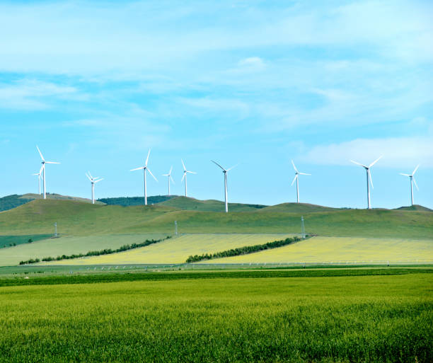 istock Windfarm with group of wind turbines 1182581875