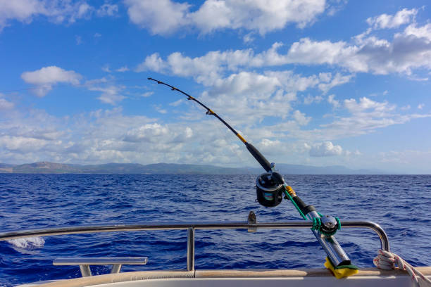 istock Fishing reel and rod 1182584940
