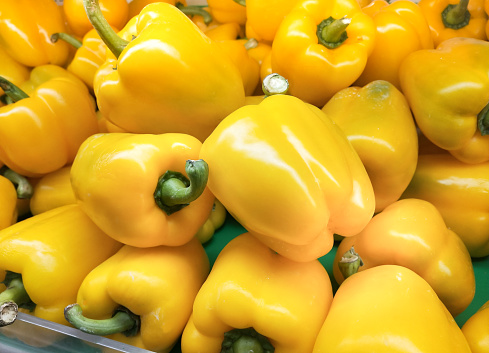 Fresh yellow paprika peppers farm harvest. Sweet yellow peppers capsicum background. Harvesting.