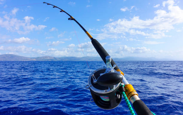 istock Fishing reel and rod 1182585036