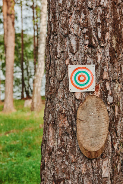 istock Paper and wood target on the tree for games and shooting training 1182586418