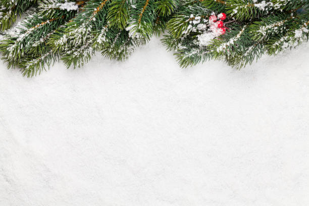 istock Christmas card with fir tree over snow 1182587197