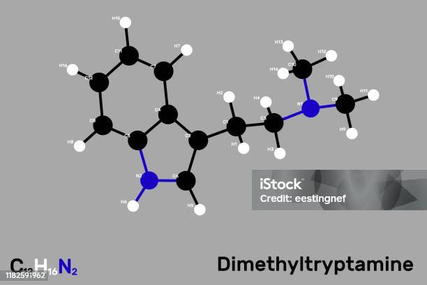 ジメチルトリプタミン(DMT)モデル分子。灰色の背景に分離されています。ベクトルイラスト。 - イラスト素材...