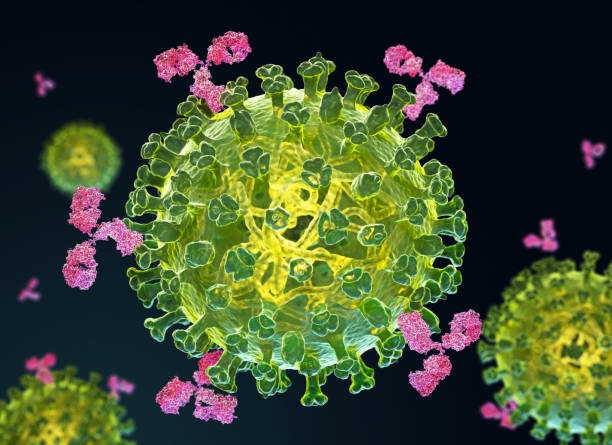 istock Flu virus and antibodies 1182595466