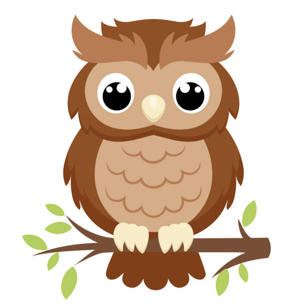 Illustration of a big owl Illustration of a big owl sitting on a branch on a white background owl stock illustrations