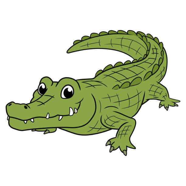 ilustrações de stock, clip art, desenhos animados e ícones de illustration of a smiling crocodile - crocodilo