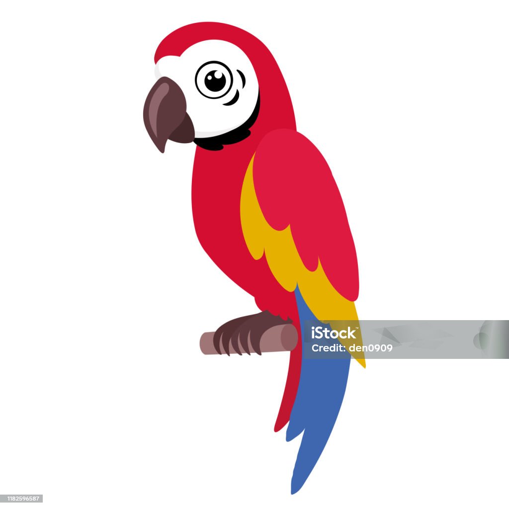 Illustration Of A Colorful Parrot Stock Illustration - Download Image Now -  Parrot, Cartoon, Clip Art - iStock