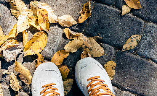 sport shoes sneakers on the background of dry yellow leaves on the sidewalk in autumn fall on a sunny day