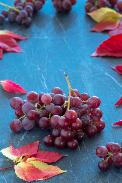 istock grapes  on dark marble countertop and a yellow autumn leaf 1182597888