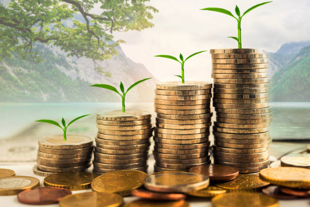 step of golden coins stacks on table with tree growing on top, nature background, money, saving and investment concept stock photo