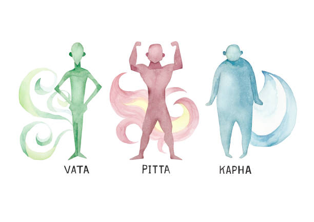 Ayurveda Vata Pitta Kapha Ayurveda Vata Pitta Kapha ayurveda stock illustrations