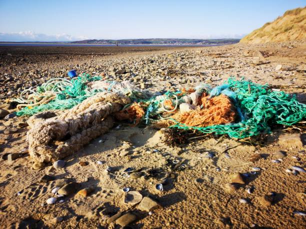 istock Rubbish washed up on the Beach 1182600756