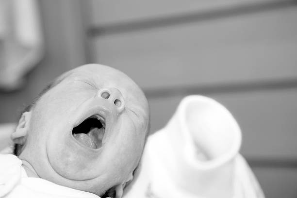 istock Baby series XXL 118260204
