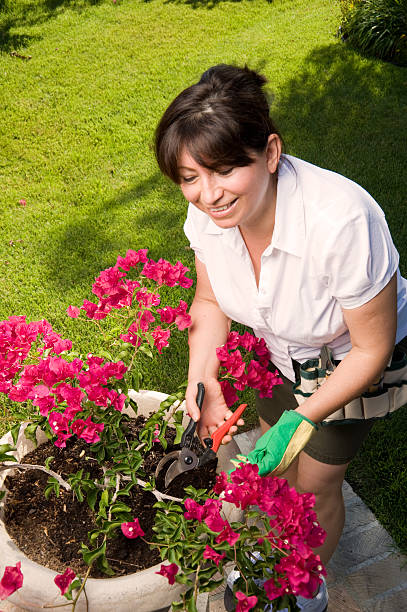 istock Woman Gardening 118260214