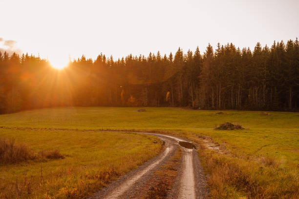 Field in sunset in autumn nature landscape \nPhoto taken in afternoon