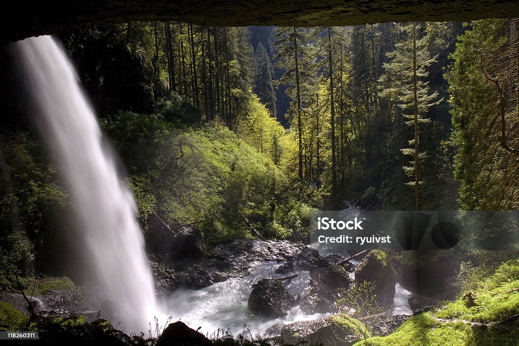 Parque estatal de Silver Falls, North cascatas - Royalty-free Alto - Descrição Física Foto de stock