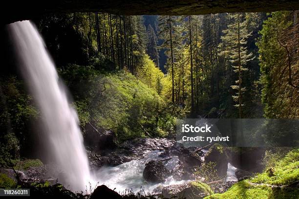 Parque Estatal De Silver Falls North Cascatas - Fotografias de stock e mais imagens de Alto - Descrição Física - Alto - Descrição Física, Ao Ar Livre, Azul