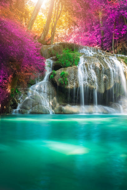 incredibile nella natura, bellissima cascata nella colorata foresta autunnale nella stagione autunnale - cascata foto e immagini stock