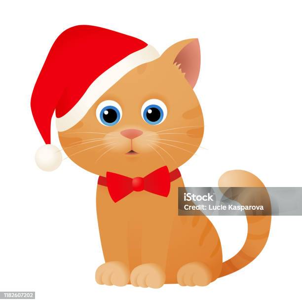 Gatto con cappello di Babbo Natale e campanellino