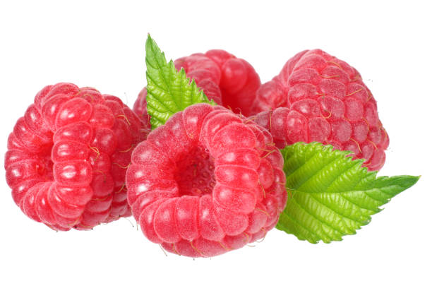 istock ripe raspberries with green leaf isolated on white background 1182607873