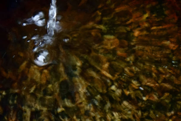 istock Rusted water bowl in a Japanese garden 1182610019