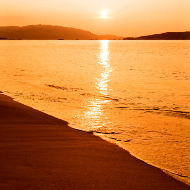 istock Golden beach under the sunset 1182610158