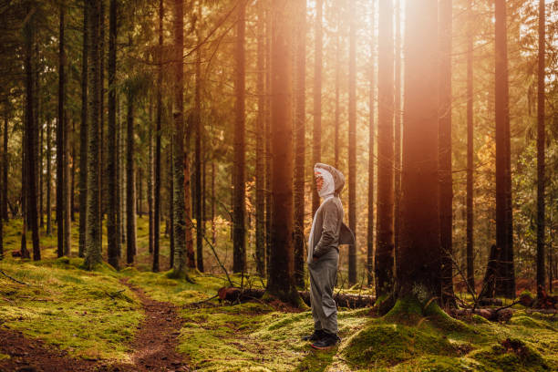 istock Man in forest woods in shark costume concept 1182611326