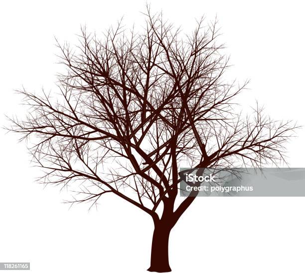 Ilustración de Árbol De Invierno y más Vectores Libres de Derechos de Recortable - Recortable, Árbol latente, Alto - Descripción física